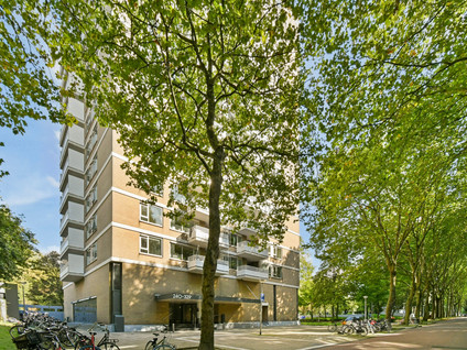 Nachtwachtlaan 308