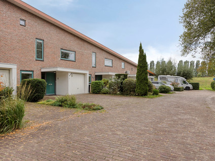 Perspectief 50