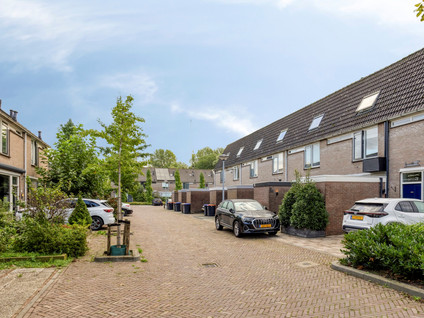 Everstein 36