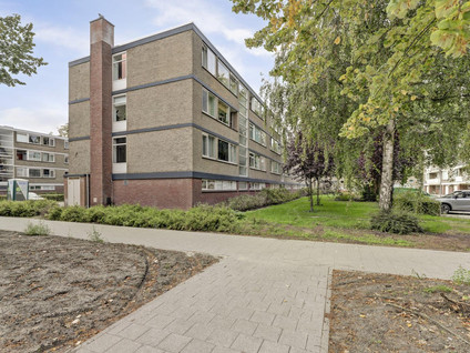 Drijfhoutstraat 3