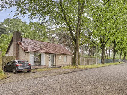 Albionstraat 125