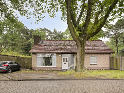 Albionstraat 125