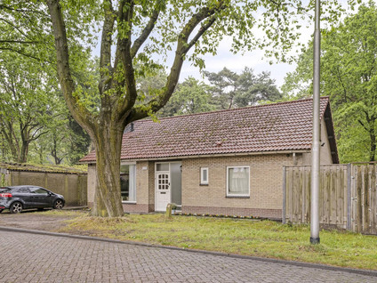Albionstraat 125