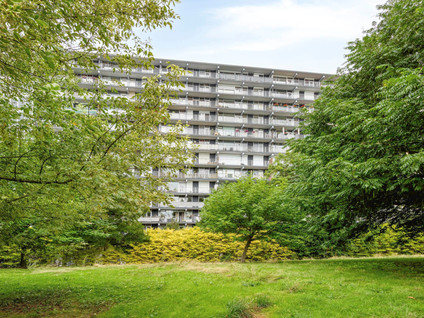 Henri Dunantstraat 245