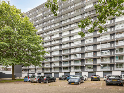Henri Dunantstraat 245