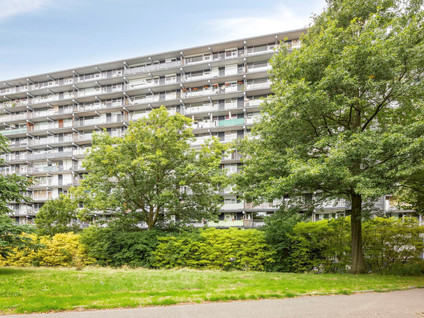 Henri Dunantstraat 245