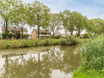 Koperwiek 4