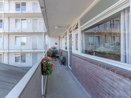 P.C. Hooftplein 51