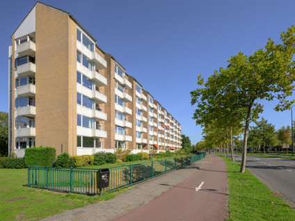 Buziaulaan 85