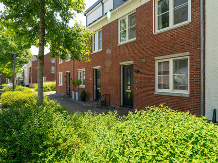 Nieuwe Es 20