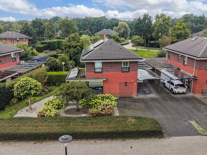 Vederkruid 9