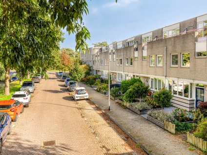 Harriët Freezersingel 20