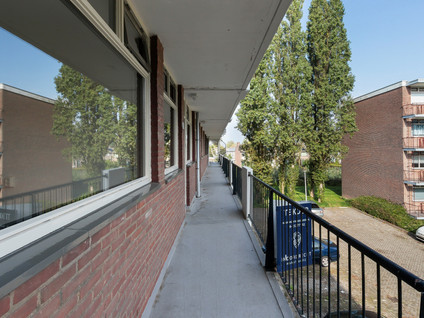 Staringlaan 234
