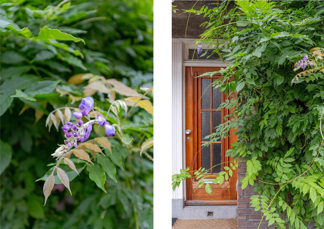 Appartement te koop: Akkermanstraat 8B, Rotterdam