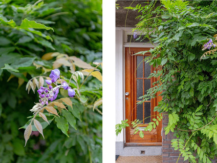 Akkermanstraat 8B