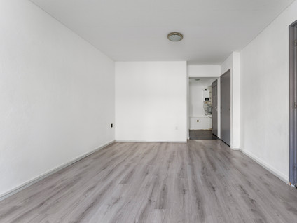 Stadhouderstraat 19