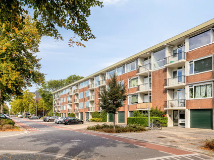 Pisanostraat 260