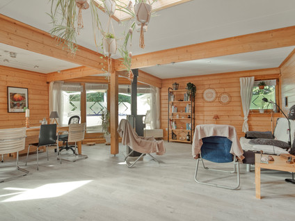 Krachtenveld 46