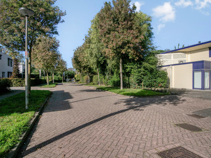 Krachtenveld 46