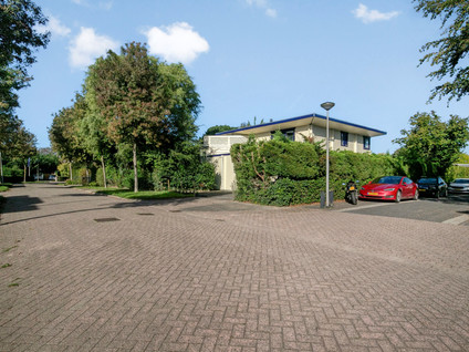 Krachtenveld 46