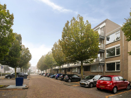 Palmboomstraat 72
