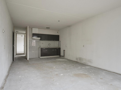 Palmboomstraat 72