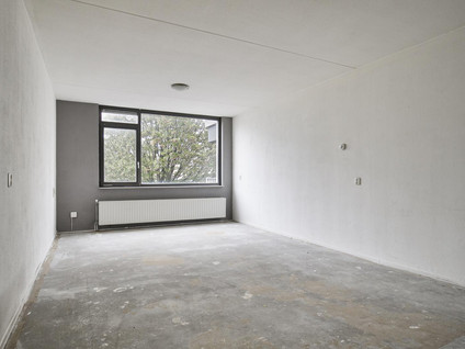 Palmboomstraat 72