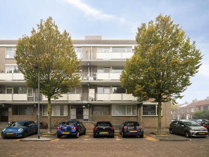 Palmboomstraat 72