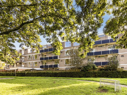 Goudenregenplantsoen 20