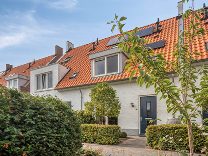 Kleine Vos 16