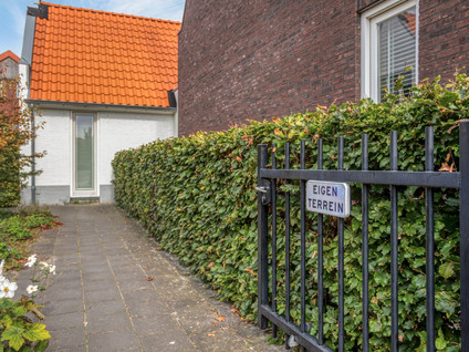Kleine Vos 16