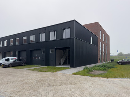 Steur 3