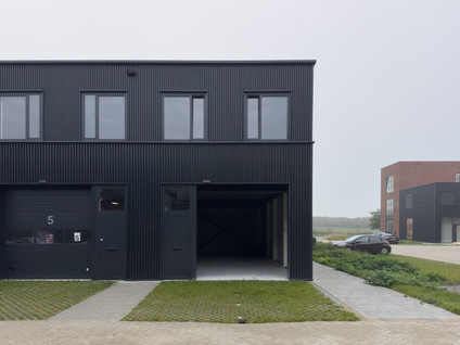 Steur 3