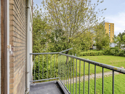 Rijnvoorde 50