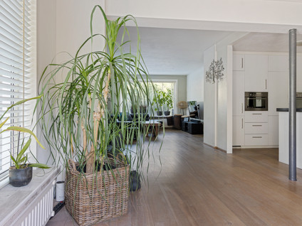 Roerdomplaan 25