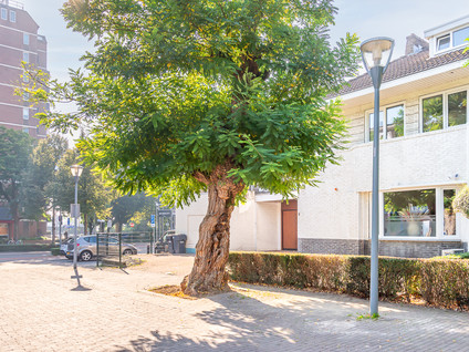 Prins de Lignestraat 1