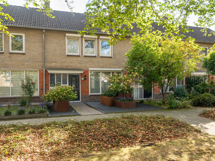 Mesdaglaan 29