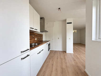 Dubloen 84