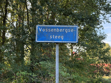 Vossenbergsesteeg 