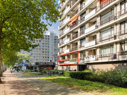 Monseigneur van Steelaan 225