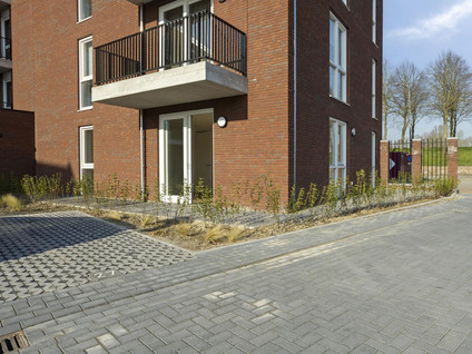 Minderbroedersstraat 20