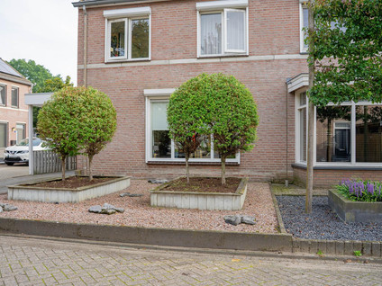 Damastroosstraat 19