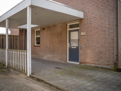 Damastroosstraat 19
