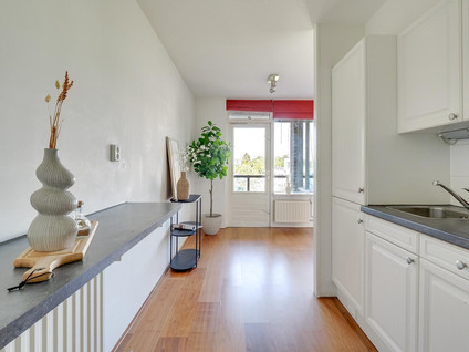 Aartsbisschop Romerostraat 263