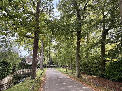 Park Leeuwensteijn 42