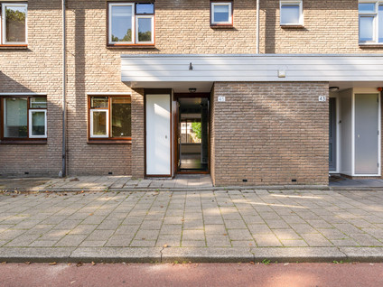 Lutulisingel 45