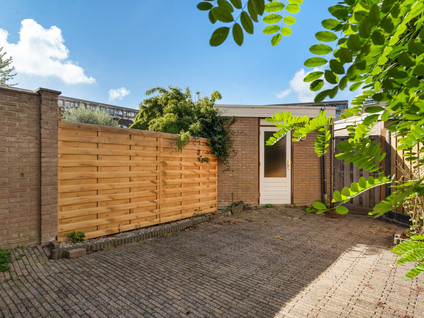 Lutulisingel 45