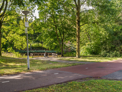 Lutulisingel 45