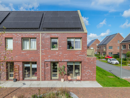Pijlkruid 15