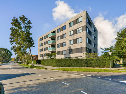 Basiusstraat 37